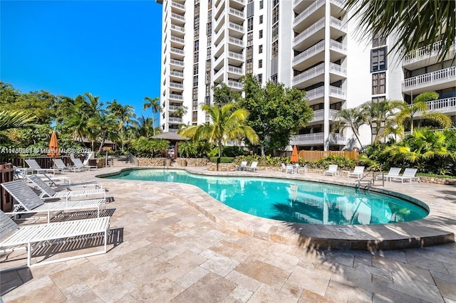 view of swimming pool with a patio area