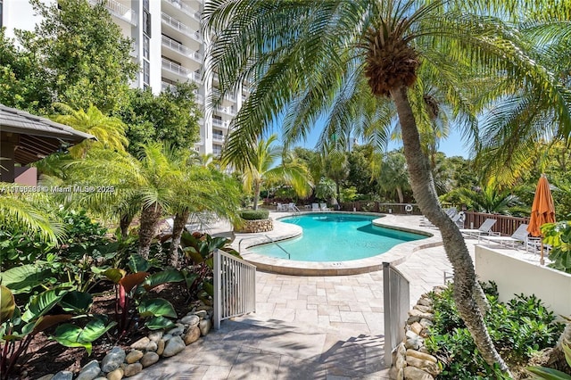 view of swimming pool featuring a patio