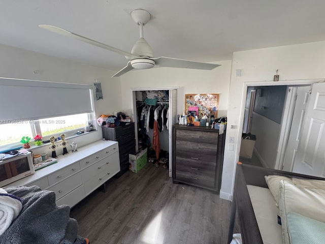 bedroom featuring dark hardwood / wood-style floors, a closet, and ceiling fan