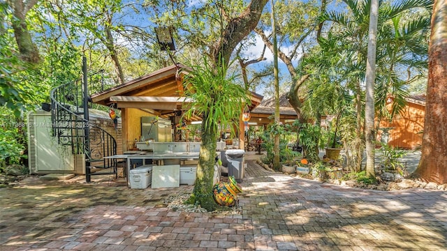 view of patio / terrace featuring ceiling fan and area for grilling