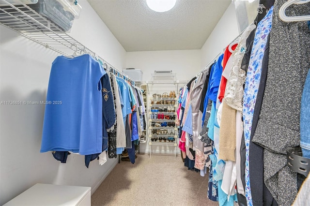 walk in closet featuring carpet