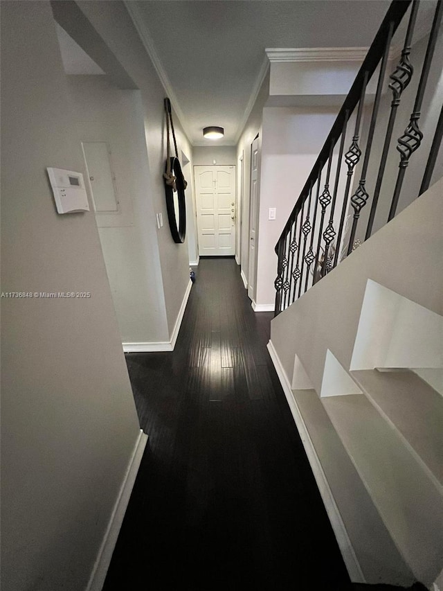 corridor featuring ornamental molding and dark hardwood / wood-style floors