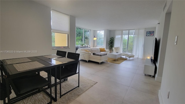 view of tiled living room