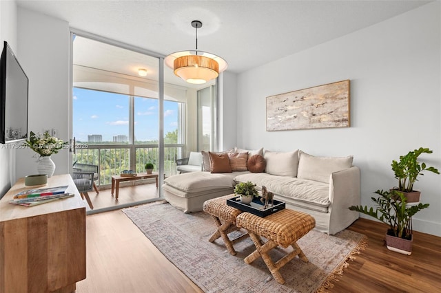 living room with hardwood / wood-style flooring