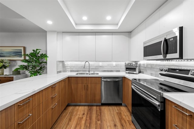 kitchen with appliances with stainless steel finishes, white cabinetry, sink, decorative backsplash, and a tray ceiling