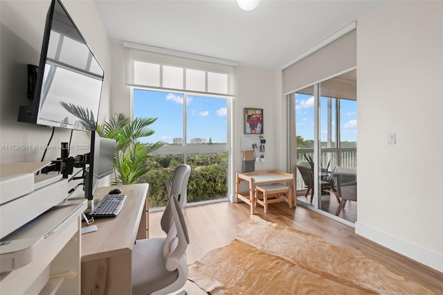 office space featuring plenty of natural light and light hardwood / wood-style flooring