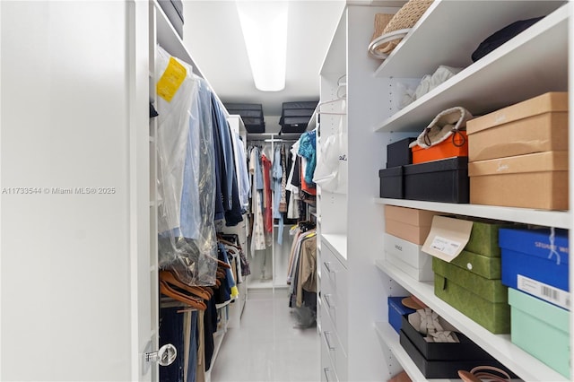 view of spacious closet