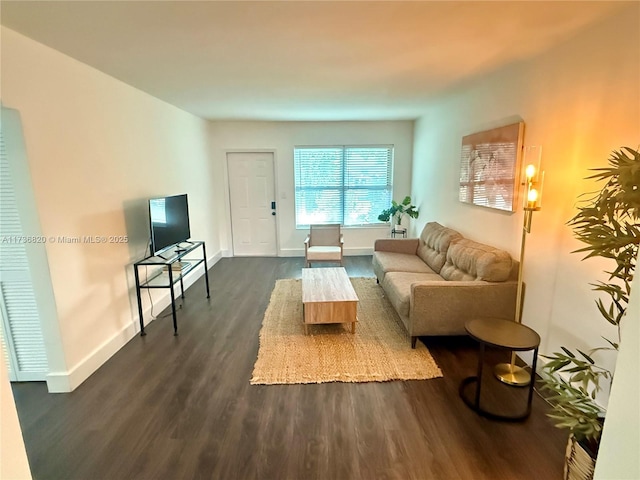 living room featuring dark hardwood / wood-style flooring