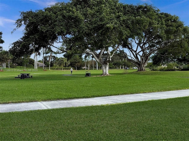 view of community featuring a lawn