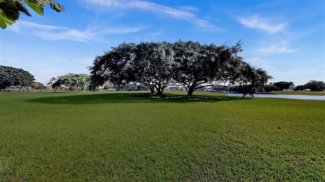 view of community with a water view and a lawn