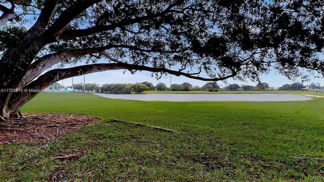 view of yard with a water view