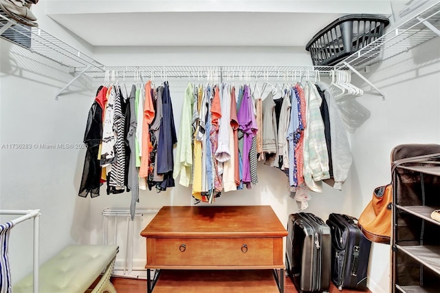 walk in closet featuring wood-type flooring