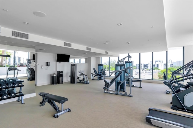 exercise room featuring floor to ceiling windows and a healthy amount of sunlight