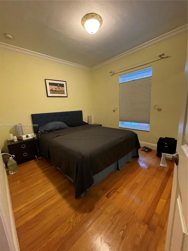 641 Zamora Ave, Coral Gables, FL 33134 - photo 9