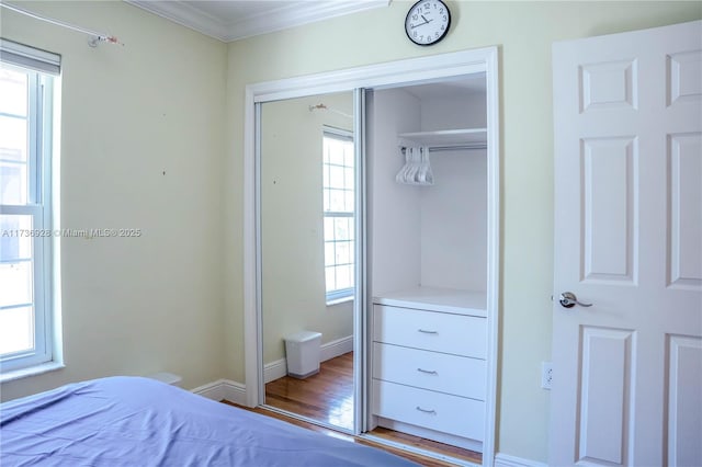 bedroom featuring crown molding, multiple windows, hardwood / wood-style floors, and a closet