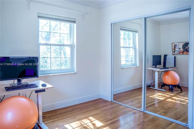 office featuring crown molding and light hardwood / wood-style flooring