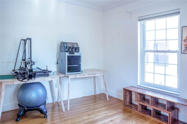 office area with crown molding and light hardwood / wood-style flooring