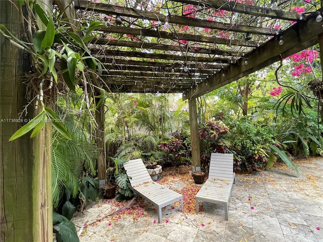 641 Zamora Ave, Coral Gables, FL 33134 - photo 15