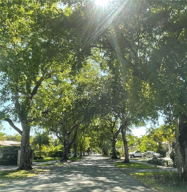 view of asphalt street