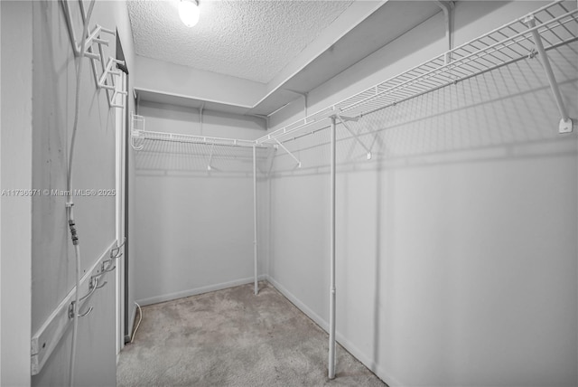 walk in closet with light colored carpet