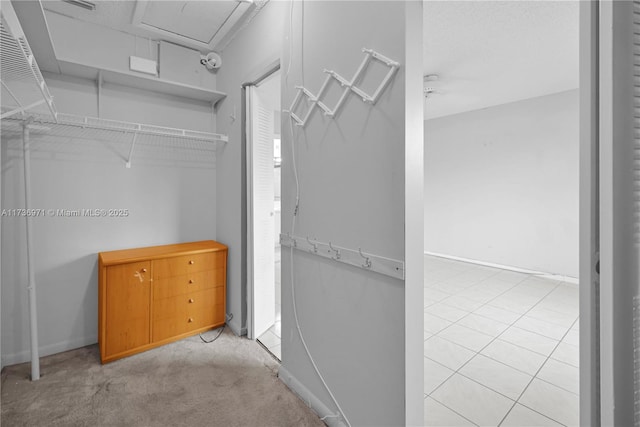 spacious closet featuring light carpet