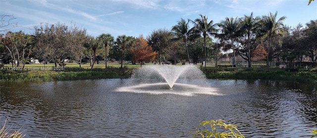 property view of water