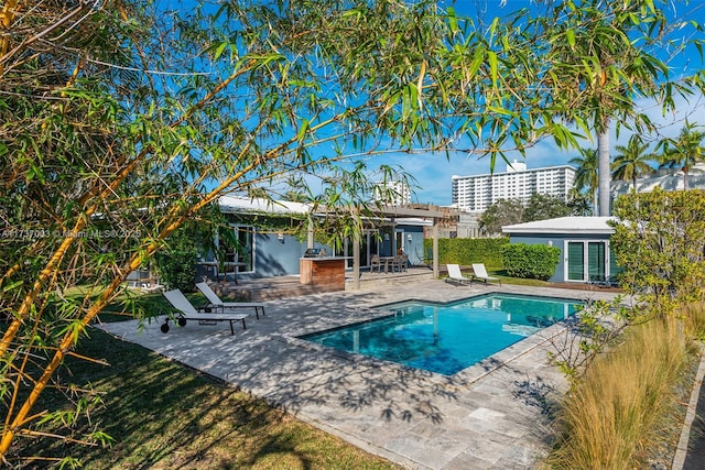 view of pool featuring a patio