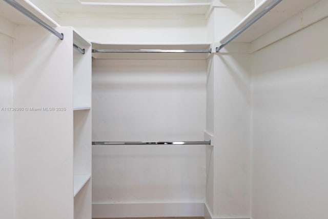 view of spacious closet