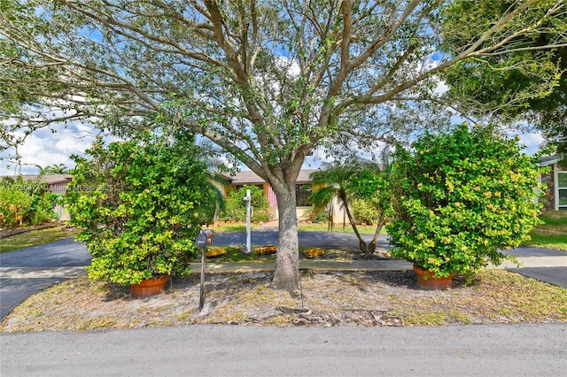 view of property hidden behind natural elements