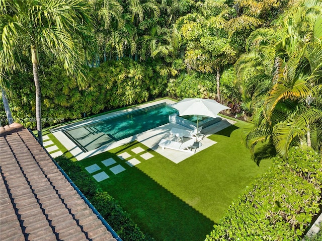 view of swimming pool with a lawn