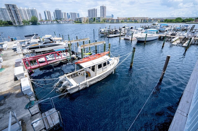 dock area with a city view and a water view