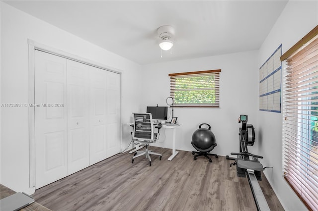 home office featuring ceiling fan and light hardwood / wood-style floors