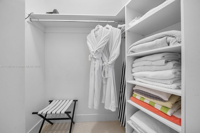 view of spacious closet