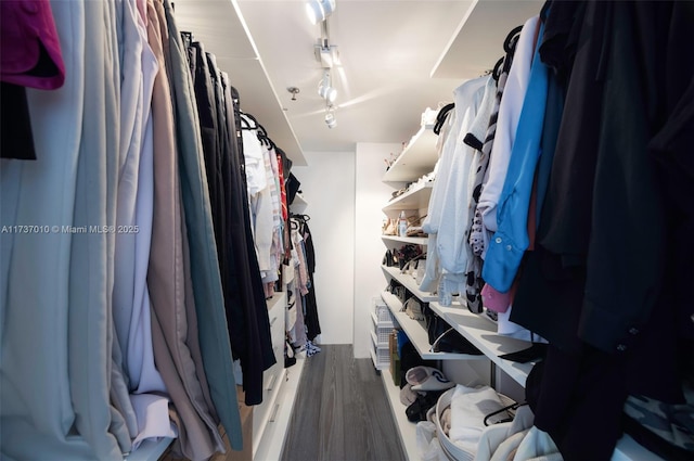 walk in closet featuring hardwood / wood-style flooring