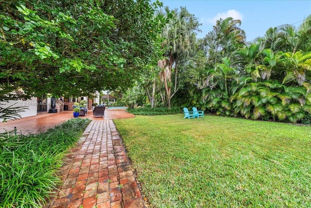 view of yard featuring a patio