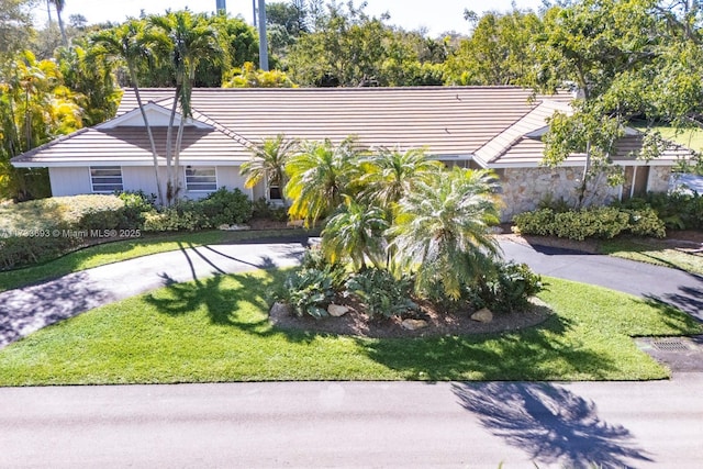 exterior space with a front yard