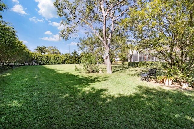 7420 SW 145th Ter, Palmetto Bay, FL 33158 - view of yard
