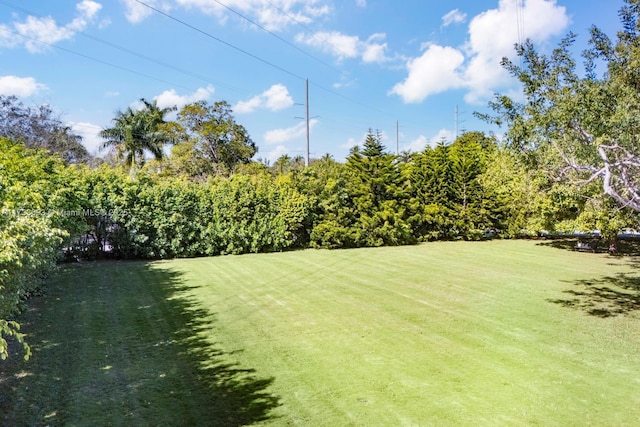 7420 SW 145th Ter, Palmetto Bay, FL 33158 - view of yard