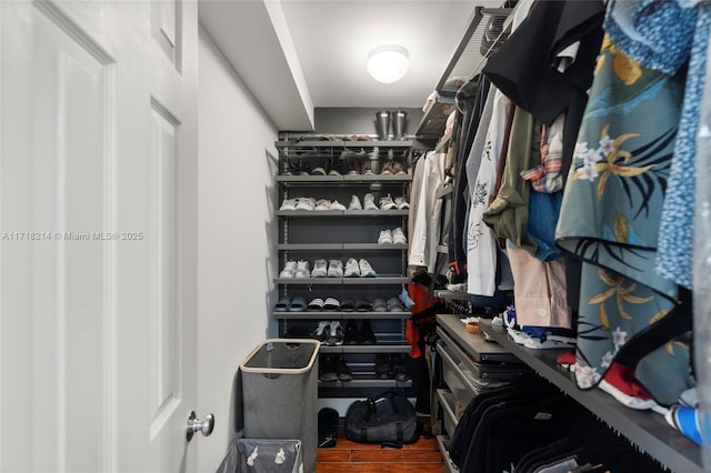 spacious closet with hardwood / wood-style flooring