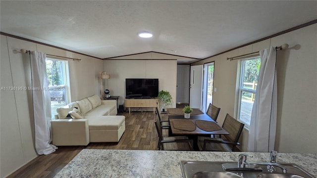 living room with sink, crown molding, vaulted ceiling, a textured ceiling, and dark hardwood / wood-style flooring