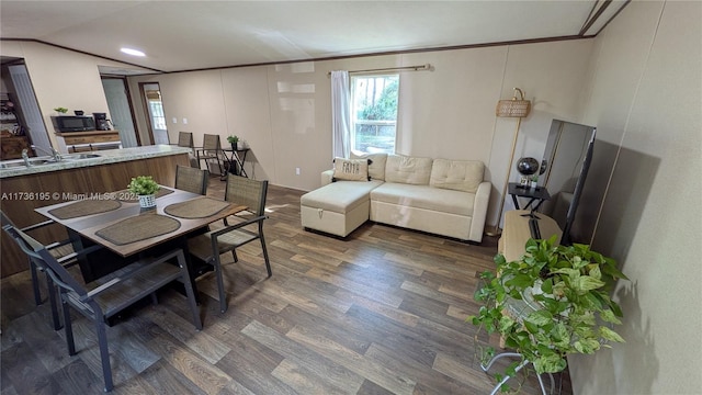 interior space featuring crown molding, sink, and dark wood-type flooring