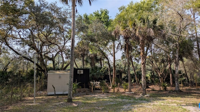 view of yard with a storage shed