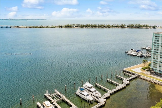 view of water feature with a boat dock