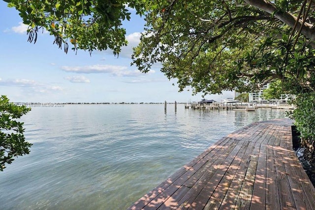 dock area featuring a water view