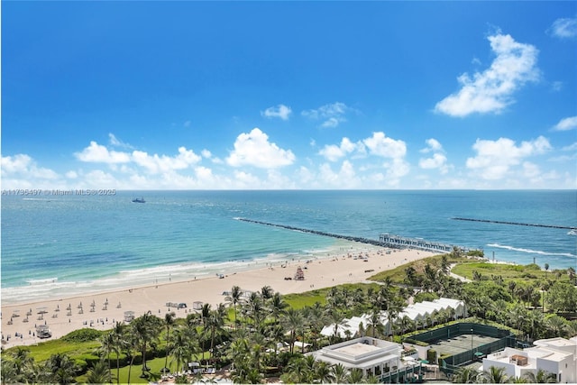 water view featuring a beach view