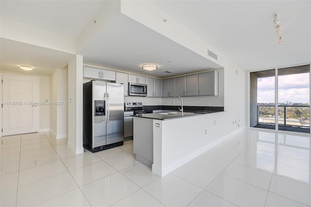 kitchen with sink, gray cabinets, a wall of windows, appliances with stainless steel finishes, and kitchen peninsula