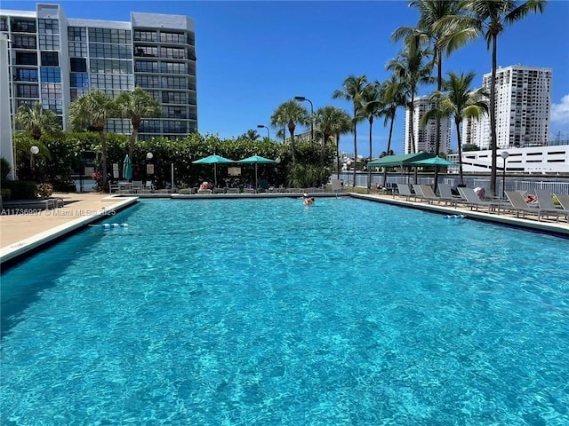 1000 Parkview Dr Unit 202, Hallandale Beach, FL 33009 - pool with a patio and a city view