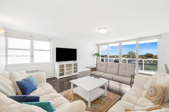 living room featuring dark hardwood / wood-style flooring and a healthy amount of sunlight