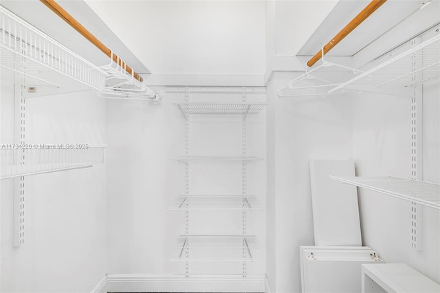 view of walk in closet