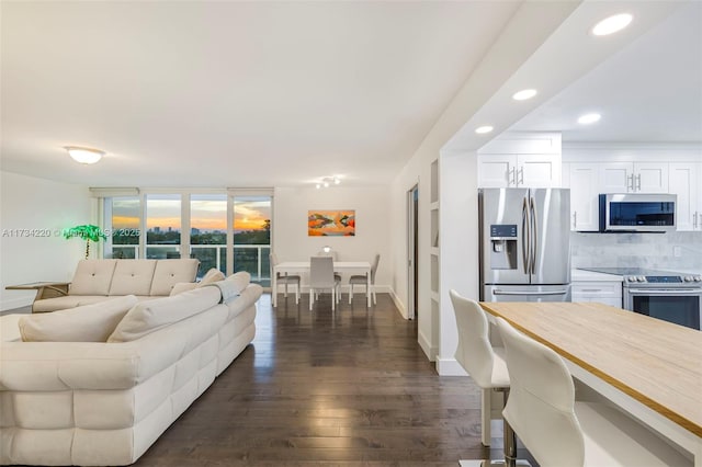 living room with floor to ceiling windows and dark hardwood / wood-style flooring